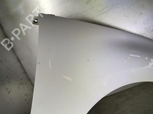 Right front fenders RENAULT SCÉNIC III (JZ0/1_) 1.5 dCi | BP20919673C42
