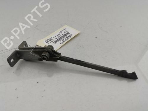 Hinge/Door check strap RENAULT KANGOO Express (FW0/1_) 1.5 dCi 90 (FW0G, FW05, FW08, FW11) | BP29421834C146 