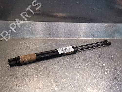 Used Tailgate lift support RENAULT SCÉNIC III (JZ0/1_) 1.5 dCi (106 hp) 20919660