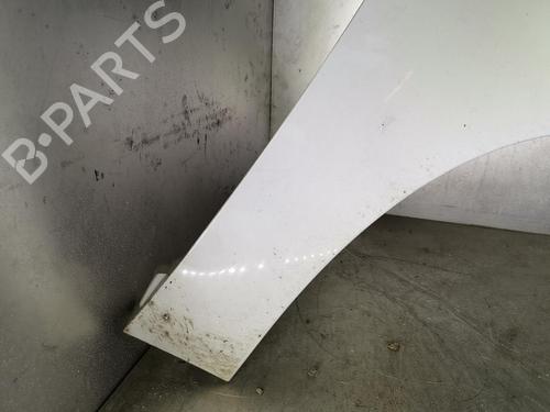 Right front fenders RENAULT SCÉNIC III (JZ0/1_) 1.5 dCi | BP20919673C42