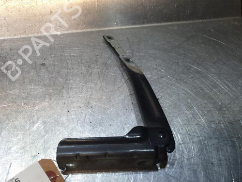 Hinge/Door check strap DACIA LODGY (JS_) 1.2 TCe (JSAY, JSM0) | BP21797256C146 