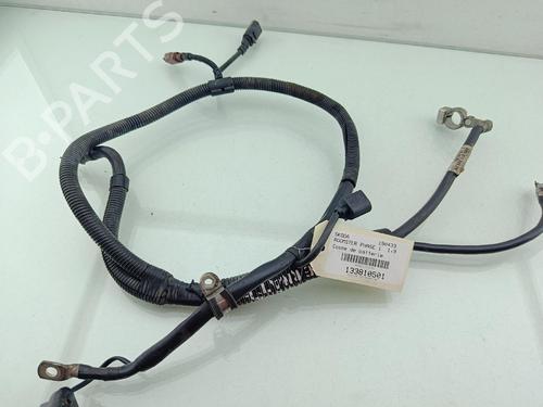 Cavo elettrico Cavo elettrico SKODA ROOMSTER (5J7) 1.9 TDI (105 hp) 39664850 39664850