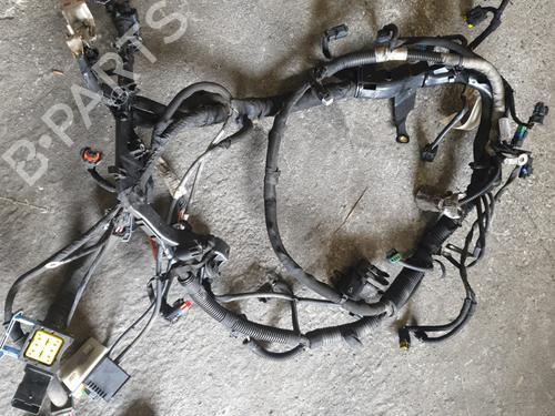Ledningsnet CITROËN C3 Picasso (SH_) 1.6 HDi | BP26495396E16 