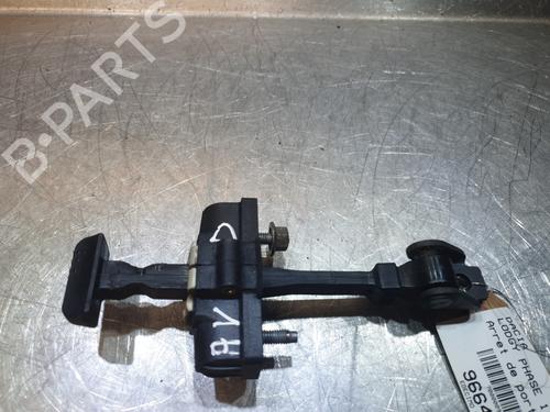 Hinge/Door check strap DACIA LODGY (JS_) 1.2 TCe (JSAY, JSM0) | BP21594124C146 
