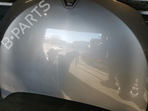 Hood RENAULT MEGANE III Hatchback (BZ0/1_, B3_) 1.5 dCi (BZ09, BZ0D, BZ1W, BZ29, BZ14) | BP31290116C1 