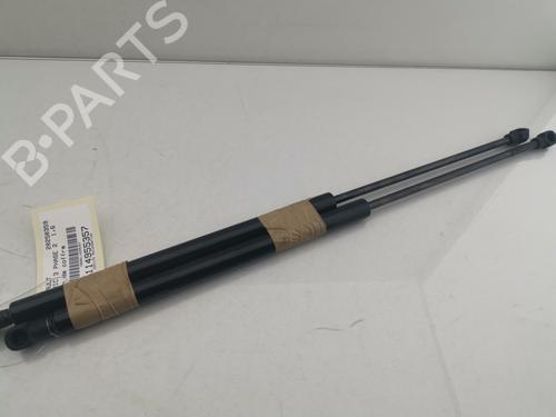 Tailgate lift support RENAULT SCÉNIC III (JZ0/1_) 1.6 dCi (JZ00, JZ12) | BP30128300C138