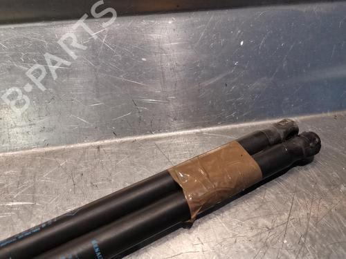 Tailgate lift support RENAULT MEGANE III Coupe (DZ0/1_) 1.5 dCi (DZ0B) | BP20923565C138 