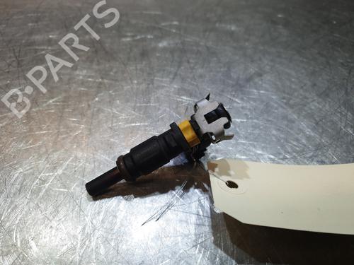 Used Injector Injector PEUGEOT 207 (WA_, WC_) 1.4 16V (98 hp) 25154045 25154045