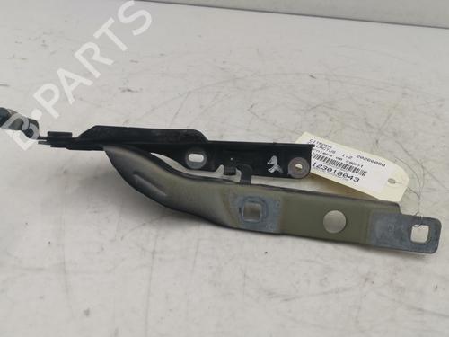 hingedoor-check-strap-citroen-c4-cactus-2014-33237608 main image