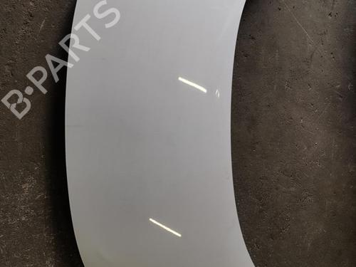 Used Hood RENAULT SCÉNIC III (JZ0/1_) 1.5 dCi (106 hp) 20919672