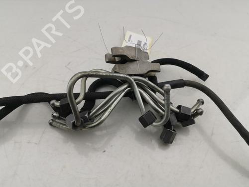 Injector CITROËN C3 II (SC_) 1.4 HDi 70 (SC8HZC, SC8HR0, SC8HP4) (68 hp) 31921520