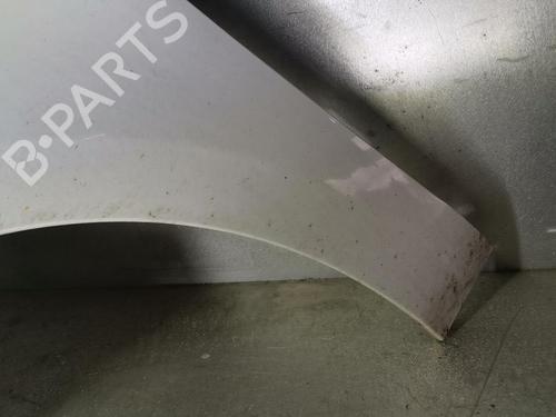 Left front fenders RENAULT SCÉNIC III (JZ0/1_) 1.5 dCi | BP20919674C41 