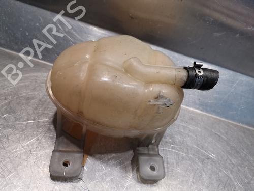 Expansion tank FIAT GRANDE PUNTO (199_) 1.3 D Multijet (199.AXD11, 199.AXD1A, 199.AXD1B,... | BP20917948C120