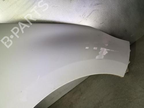 Right front fenders RENAULT SCÉNIC III (JZ0/1_) 1.5 dCi | BP20919673C42