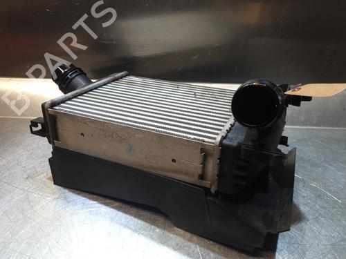 Intercooler DACIA LODGY (JS_) 1.2 TCe (JSAY, JSM0) | BP21801785M30 
