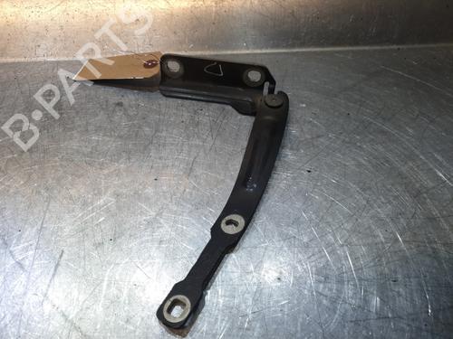 Hinge/Door check strap DACIA LODGY (JS_) 1.2 TCe (JSAY, JSM0) | BP21797256C146 