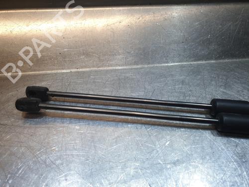 Tailgate lift support BMW X1 (E84) xDrive 20 d | BP26282137C138 