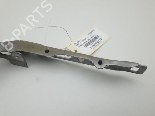 Hinge/Door check strap PEUGEOT 208 I (CA_, CC_) 1.4 HDi | BP27716256C146 