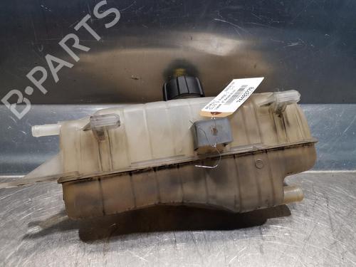 Expansion tank RENAULT CLIO III (BR0/1, CR0/1) 1.2 16V (BR02, BR0J, BR11, CR02, CR0J, CR11) | BP20921380C120 