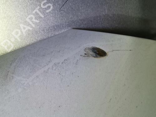 Left front fenders RENAULT TRUCKS MASCOTT Van 120.35 (A02100003) | BP22128362C41 