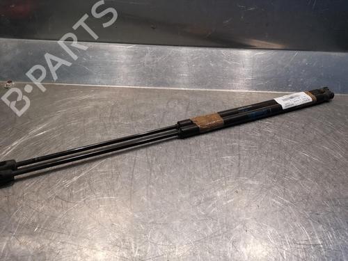 Tailgate lift support RENAULT MEGANE III Coupe (DZ0/1_) 1.5 dCi (DZ0B) | BP20923565C138 