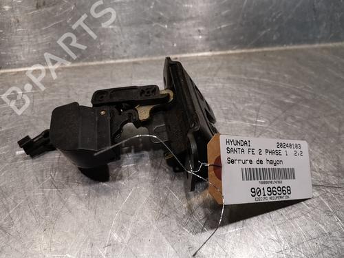 Used Tailgate lock HYUNDAI SANTA FÉ II (CM) 2.2 CRDi GLS 4x4 (150 hp) 20923192