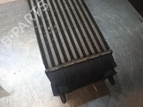 Used Intercooler Intercooler PEUGEOT 3008 I MPV (0U_) 1.6 HDi (114 hp) 23796402 23796402