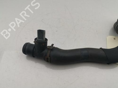Pipe AUDI Q3 (8UB, 8UG) 2.0 TFSI quattro | BP30462219M125