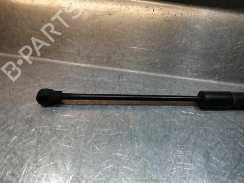 Hood lift support DACIA LODGY (JS_) 1.2 TCe (JSAY, JSM0) | BP21594104C139 