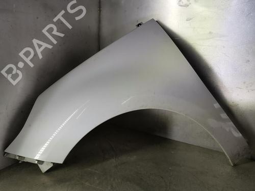 Used Left front fenders RENAULT SCÉNIC III (JZ0/1_) 1.5 dCi (106 hp) 20919674