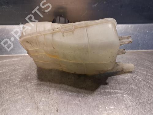 Used Expansion tank RENAULT MEGANE III Coupe (DZ0/1_) 1.5 dCi (DZ0B) (106 hp) 20923587