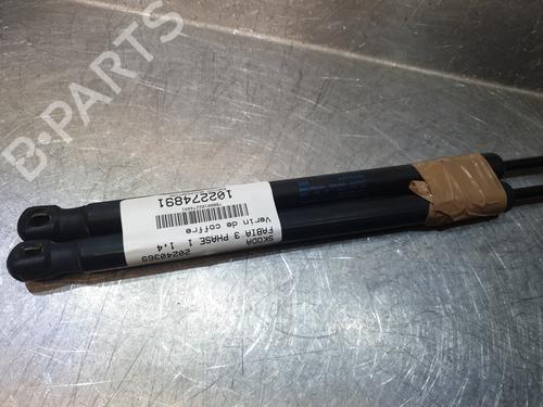 Tailgate lift support SKODA FABIA III (NJ3) 1.4 TDI | BP24111042C138 