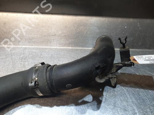 Used Pipe DACIA LODGY (JS_) 1.2 TCe (JSAY, JSM0) (115 hp) 21801789