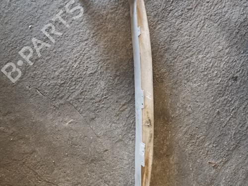 Reforço do pára-choques frente RENAULT MEGANE III Hatchback (BZ0/1_, B3_) 1.5 dCi (BZ09, BZ0D, BZ1W, BZ29, BZ14) (110 hp) 31290119