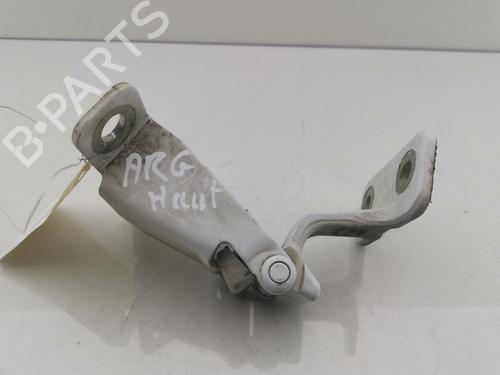 Used Hinge/Door check strap RENAULT KANGOO Express (FW0/1_) 1.5 dCi 90 (FW0G, FW05, FW08, FW11) (90 hp) 29400846