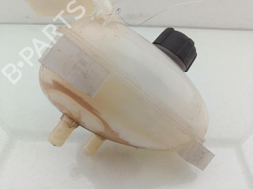 Used Expansion tank Expansion tank RENAULT TWINGO III (BCM_, BCA_) 0.9 TCe 90 (BCM9, BCM2) (90 hp) 40054024 40054024
