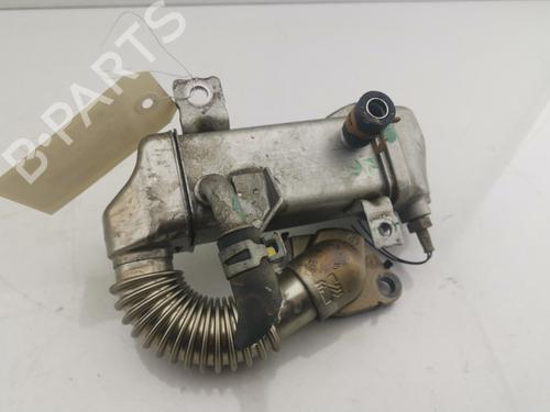 Egr RENAULT SCÉNIC III (JZ0/1_) 1.6 dCi (JZ00, JZ12) | BP30151685M69 