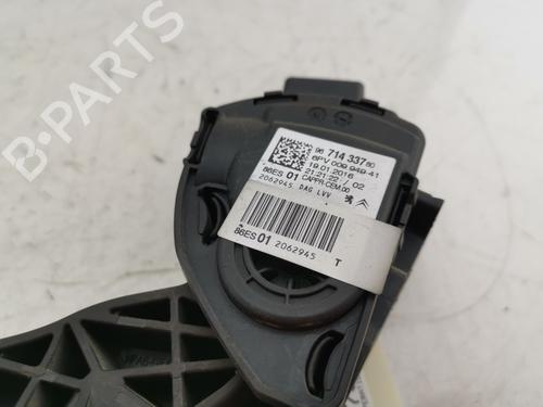 Pedal Pedal CITROËN C3 II (SC_) [2009-2026] 33946320 33946320
