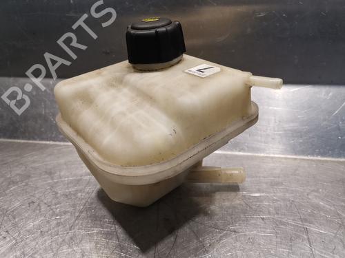 Expansion tank NISSAN QASHQAI / QASHQAI +2 I (J10, NJ10, JJ10E) 2.0 dCi All-wheel Drive | BP20923085C120 