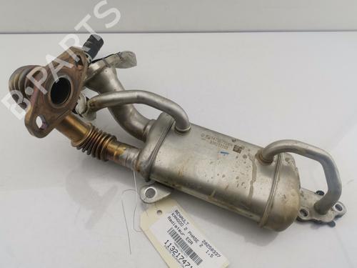 Egr RENAULT KANGOO Express (FW0/1_) 1.5 dCi 90 (FW0G, FW05, FW08, FW11) | BP29454597M69 