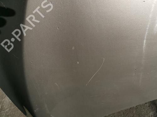 Hood RENAULT MEGANE III Hatchback (BZ0/1_, B3_) 1.5 dCi (BZ09, BZ0D, BZ1W, BZ29, BZ14) | BP31290116C1 