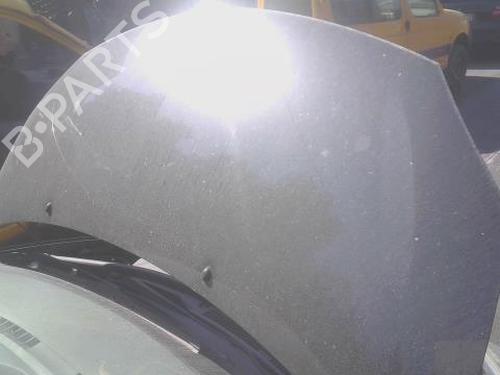 hood-renault-twingo-ii-cn0_-2007-36557183 main image