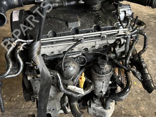 Used Engine VW GOLF IV (1J1) 1.9 TDI (90 hp) 31330234