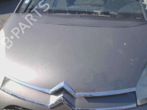 Used Hood CITROËN C4 Picasso I MPV (UD_) 1.6 HDi (109 hp) 28796299