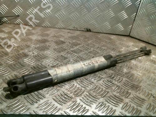 Used Tailgate lift support RENAULT MEGANE II Estate (KM0/1_) 1.9 dCi (KMRG, KM1G, KM0G, KM2C) (120 hp) 20998643