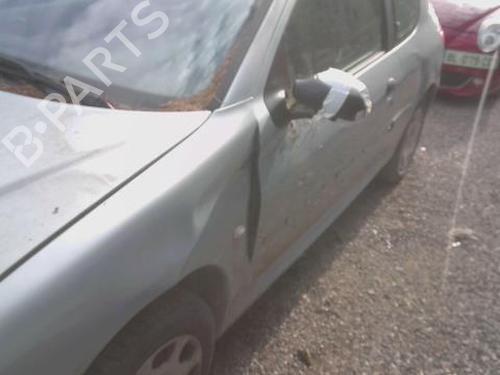 Left taillight PEUGEOT 206 Hatchback (2A/C) 1.9 D | BP30149455C34