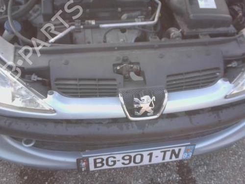 Used Grille PEUGEOT 206 CC (2D) 1.6 16V (2DNFUF, 2DNFUR) (109 hp) 29561291