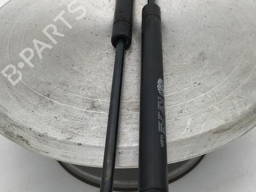 tailgate-lift-support-renault-megane-ii-bm01_-cm01_-2001-2002-2003-2004-2005-2006-2007-2008-2009-2010-2011-2012-31184000 main image