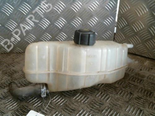 Used Expansion tank RENAULT CLIO III Grandtour (KR0/1_) 1.5 dCi (KR0F) (86 hp) 21000243