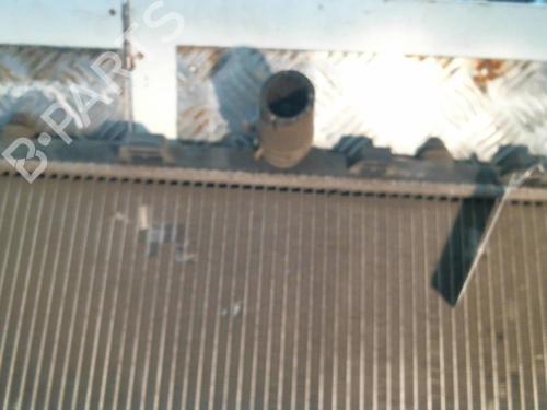 Used Water radiator Water radiator PEUGEOT 207 (WA_, WC_) 1.6 HDi 110 (112 hp) 20987164 20987164